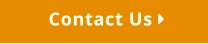 Contact Us 