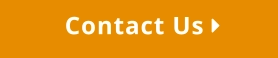 Contact Us 